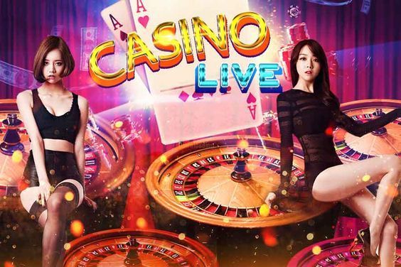 MSport Best Live Casino